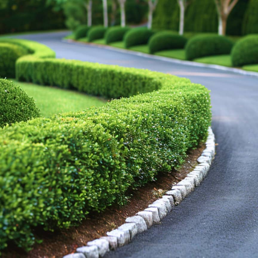 Shriyan Varma Projects - Outdoor Lighting